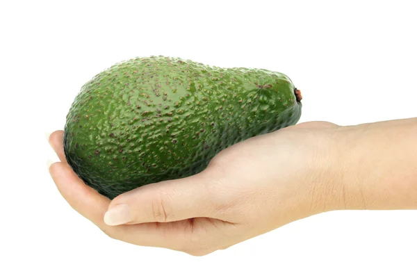 Single avocado in a hand of woman — Stock Photo, Image