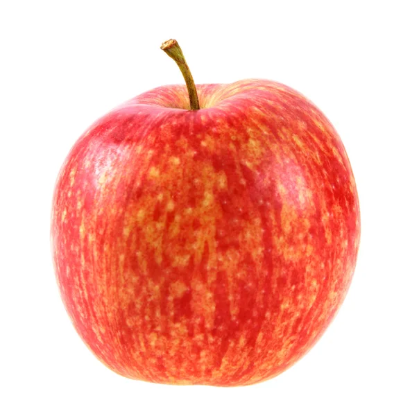 Μόνο ένα μήλο κόκκινο-κίτρινο — Φωτογραφία Αρχείου