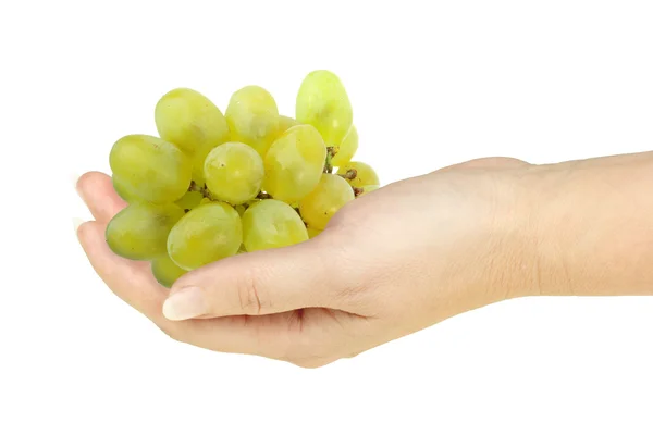 Green grape in a hand of woman — Stock Photo, Image