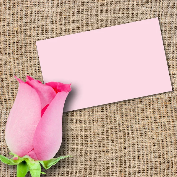Una rosa rosa y una tarjeta de mensaje —  Fotos de Stock