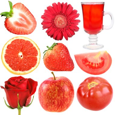 Set of red fruits, vegetables and flowers clipart