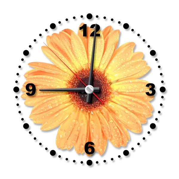 オフィスの時計として 1 つのオレンジ色の花 — ストック写真