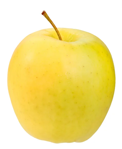 Одне жовте яблуко — стокове фото