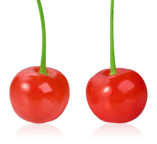 Две красные сладкоежки — стоковое фото