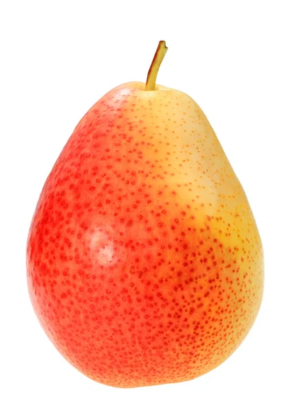 Single a red-yellow pear — Stock Photo, Image
