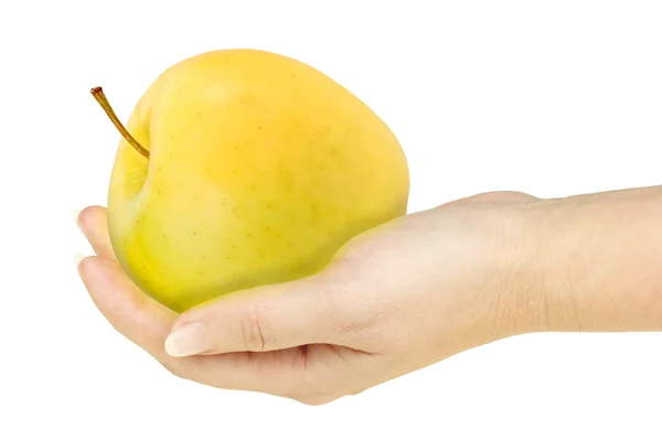 Jediné žluté jablko v rukou ženy — Stock fotografie