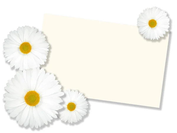 Mesaj kart ile beyaz çiçekler — Stok fotoğraf