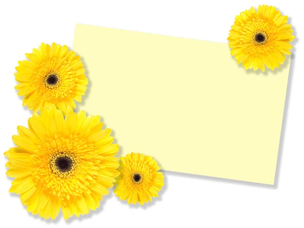 Κίτρινα λουλούδια με μήνυμα-κάρτα — Φωτογραφία Αρχείου