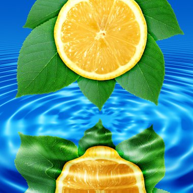 Reflect lemon-slice and leaf in water clipart