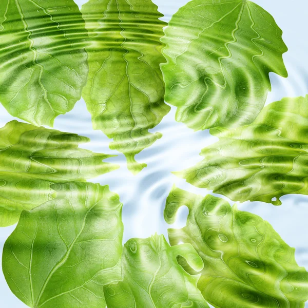 Green leaf under blue water — Stock Photo, Image