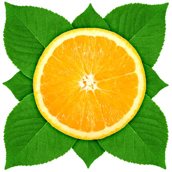 Przekrój poprzeczny pojedynczy pomarańczowy z zielonych liści — Zdjęcie stockowe