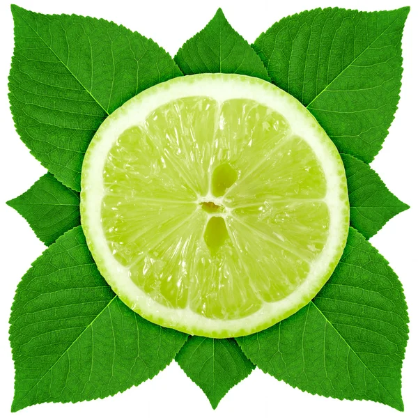 Single cross section of lime with green leaf — Stock Photo, Image
