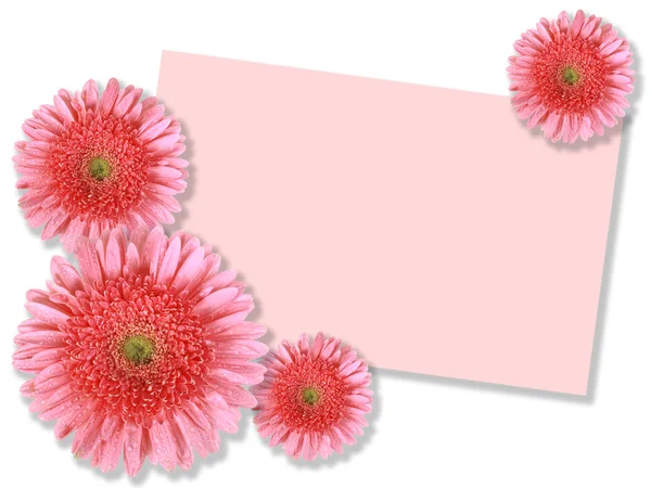 Група рожевих квітів з листівкою — стокове фото