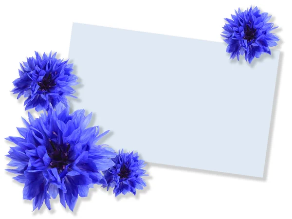Group of blue flowers with message-card — Stock Photo, Image