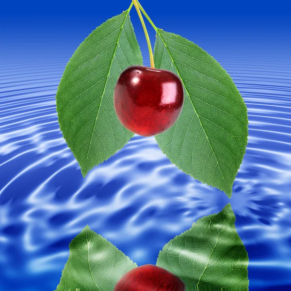 Branch with leaf and red cherry — Stock Photo, Image