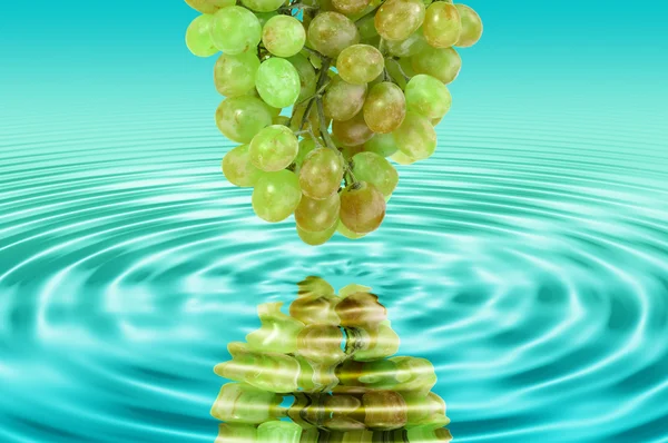 Reflexão de uma uva verde na água — Fotografia de Stock