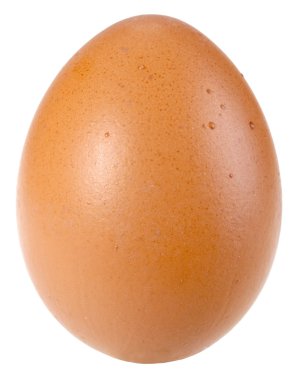 Only single brown bird egg clipart