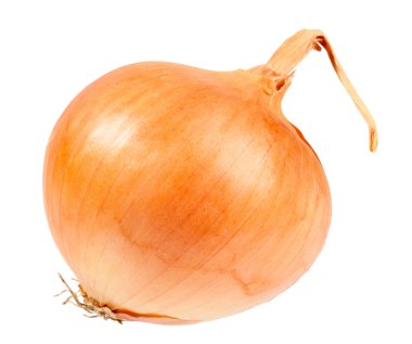 Single a orange fresh onion clipart
