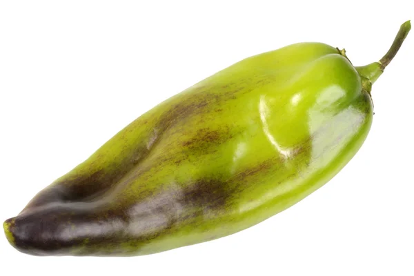 Één groen paars verse peper — Stockfoto