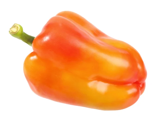 Single red-orange fresh pepper — Stock Photo, Image