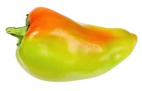 Single green-red fresh pepper — Stock Photo, Image