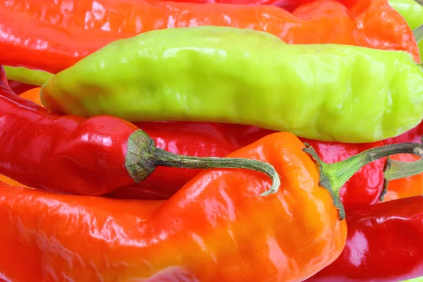 Background of multicolored chilli-peppers — Stock Photo, Image