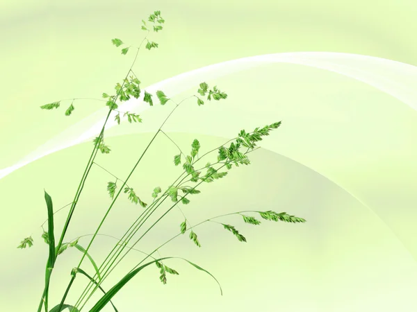 Background with single branch of green grass — Stock Photo, Image