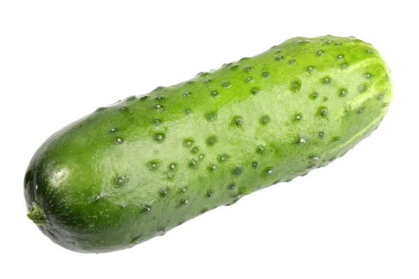 Одиночний зелений свіжий огірок — стокове фото