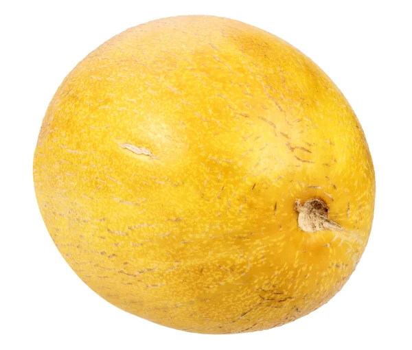 Single ripe yellow melon — Stock Photo, Image