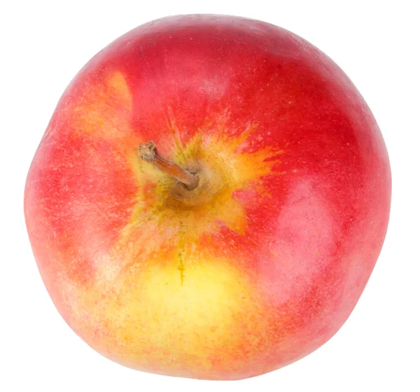 Одиночне червоно-жовте яблуко — стокове фото