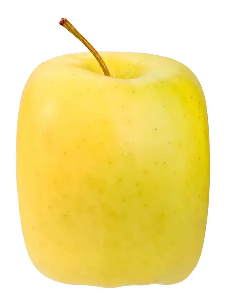 Einzelner quadratischer gelber Apfel — Stockfoto