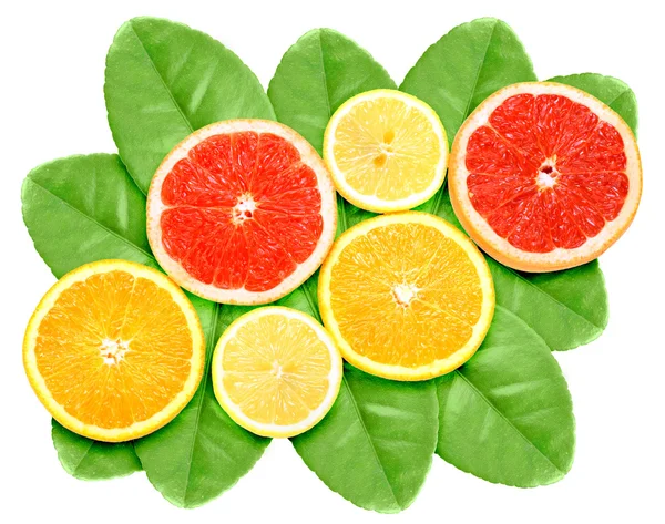 Uppsättning cross citrusfrukter på gröna blad — Stockfoto