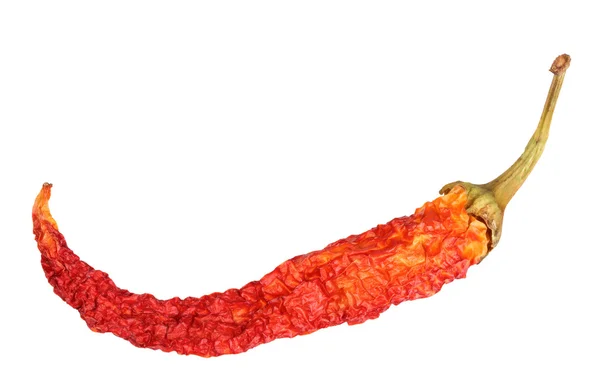 Einzelne rote, trockene Chilischote — Stockfoto