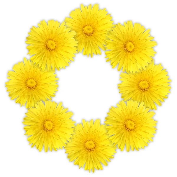 Frame als ring van gele bloemen — Stockfoto