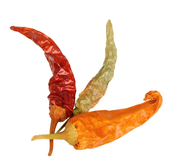 Three dry chilli-pepper — Stock Photo, Image