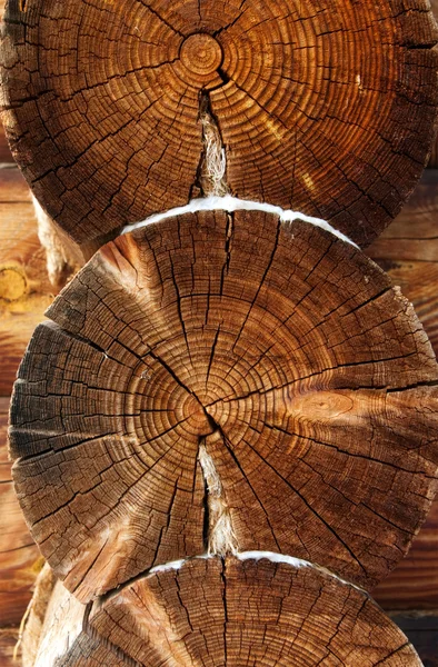 Beautiful logs — Stock Photo, Image