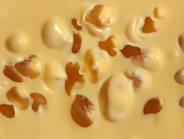 Appetiserende ost – stockfoto