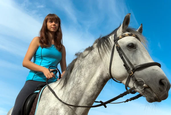 Дівчина на коні — стокове фото