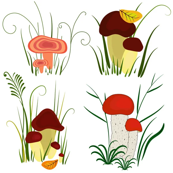 Set of mushroom — Stock Vector