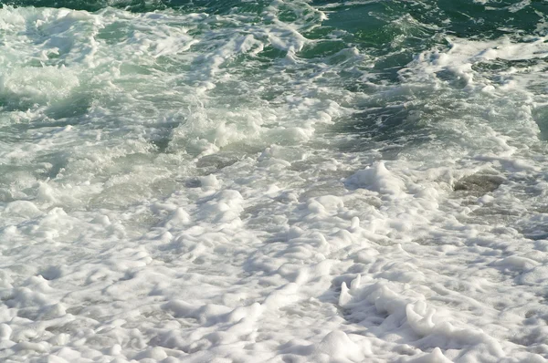 Deniz Köpüğü — Stok fotoğraf