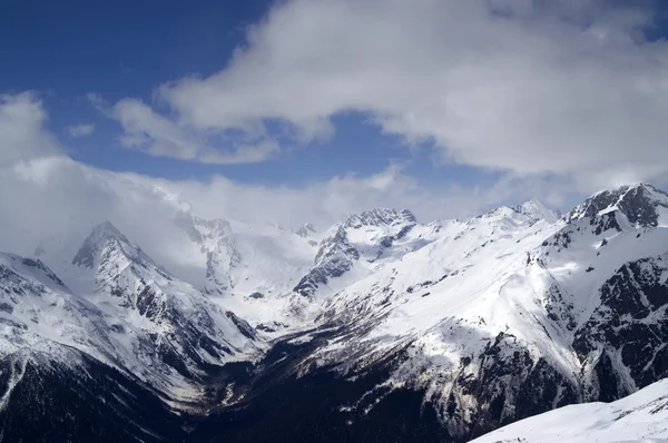 Les montagnes du Caucase. Dombay — Photo