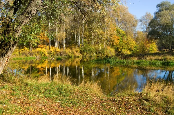 Na podzim. u řeky — Stock fotografie