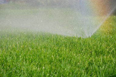 Grass sprinkler and rainbow clipart