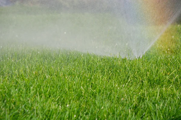 Grass sprinkler and rainbow — Stock Photo, Image
