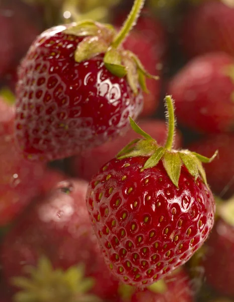 Sweet juicy strawberry — Stock Photo, Image