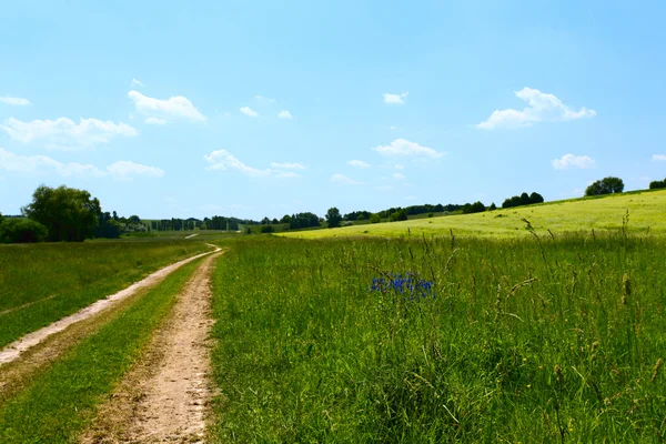 Zelené kopce pod modrou letní oblohu — Stock fotografie