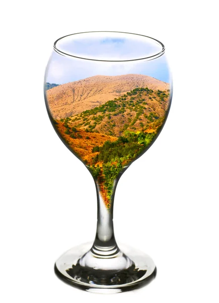 Szkło winiarskie — Zdjęcie stockowe