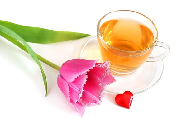 Tea and tulip — Stock Photo, Image