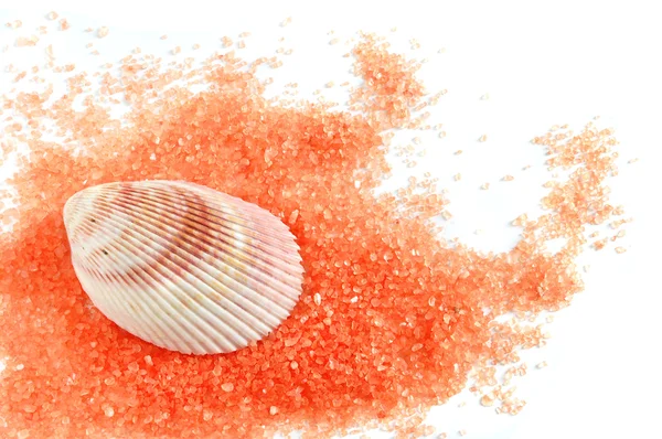 Salt and shell — Stock Photo, Image