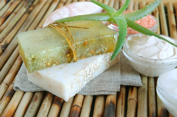 stock image Spa ingredients with aloe vera